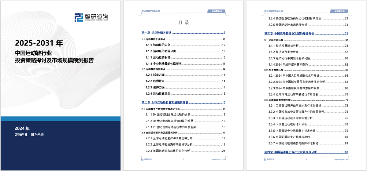 前景研究报告（2025-2031年）球王会中国运动鞋行业发展现状及投资(图4)