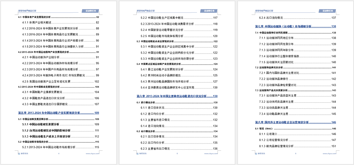 前景研究报告（2025-2031年）球王会中国运动鞋行业发展现状及投资(图6)